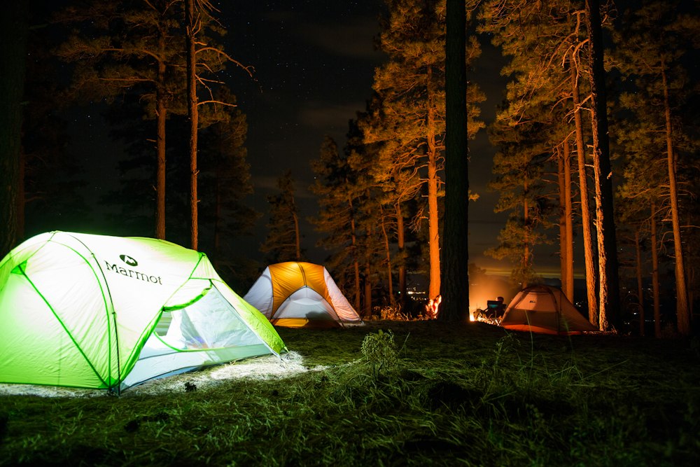 Best Sleeping Bags for Beginners Explained 1 Best sleeping bags for beginners - Comfortable sleeping bag and insulated mattress inside a camping tent