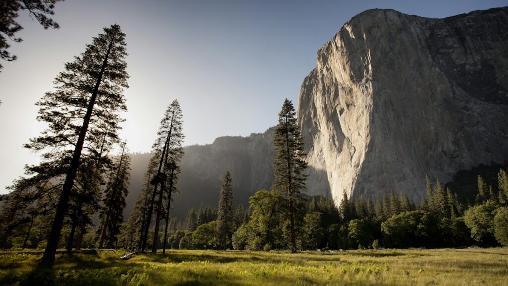 leave no trace wilderness