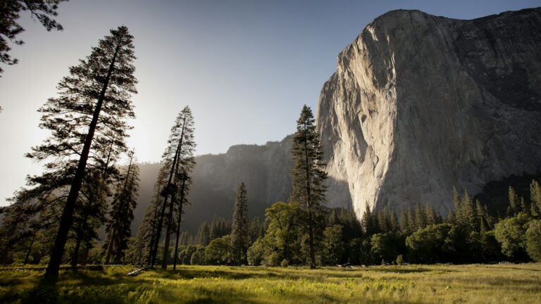 How to Leave No Trace While Camping Explained leave no trace wilderness